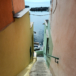 Procida